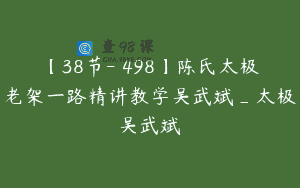 【38节-￥498】陈氏太极老架一路精讲教学吴武斌_太极吴武斌