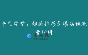 牛气学堂：超级推荐引爆店铺流量14讲