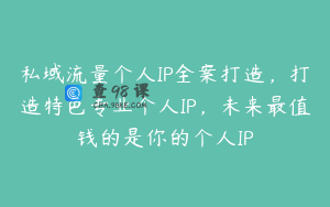 私域流量个人IP全案打造，打造特色专业个人IP，未来最值钱的是你的个人IP