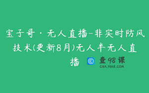 宝子哥·无人直播-非实时防风技术(更新8月)无人半无人直播