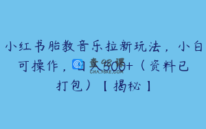 小红书胎教音乐拉新玩法,小白可操作,日入500+(资料已打包)【揭秘】