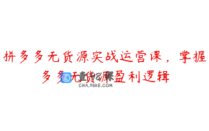 拼多多无货源实战运营课，掌握多多无货源盈利逻辑