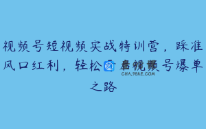 视频号短视频实战特训营，踩准风口红利，轻松开启视频号爆单之路