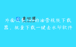 外面收费199的油管视频下载器,批量下载一键去水印软件