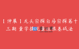 【仲展】龙头密探白马密探第十三期 量学擒龙量柱根基战法