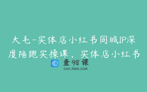 大毛-实体店小红书同城IP深度陪跑实操课，实体店小红书