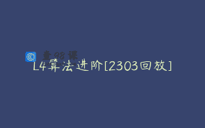 L4算法进阶[2303回放]