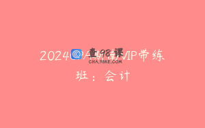 2024CPA斯南VIP带练班：会计