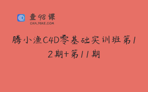 腾小渔C4D零基础实训班第12期+第11期