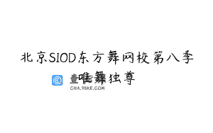 北京SIOD东方舞网校第八季唯舞独尊