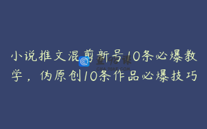 小说推文混剪新号10条必爆教学，伪原创10条作品必爆技巧