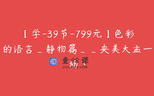 【学-39节-799元】色彩的语言_静物篇__央美大孟一场丶