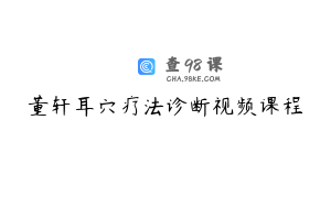 董轩耳穴疗法诊断视频课程