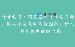 胖哥电商·淘宝虚拟店铺电商课，解决小白做电商的困惑，新人一台手机也能做电商