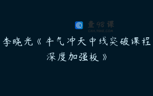 李晓光《牛气冲天中线突破课程深度加强板》