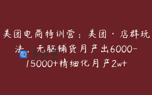 美团电商特训营:美团·店群玩法,无脑铺货月产出6000-15000+精细化月产2w+