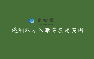 返利双方入账等应用实训