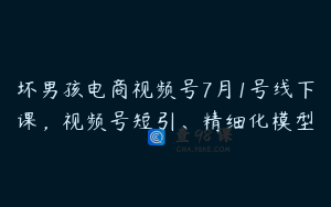 坏男孩电商视频号7月1号线下课，视频号短引、精细化模型