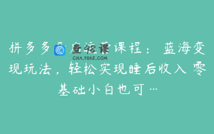 拼多多开店运营课程： 蓝海变现玩法，轻松实现睡后收入 零基础小白也可…
