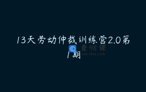 13天劳动仲裁训练营2.0第1期