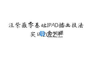 汪紫薇零基础IPAD插画技法实训2022年