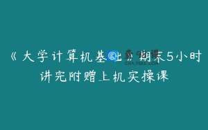 《大学计算机基础》期末5小时讲完附赠上机实操课