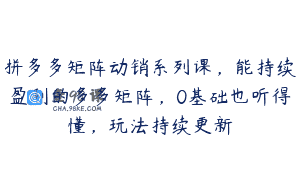 拼多多矩阵动销系列课，能持续盈利的多多矩阵，0基础也听得懂，玩法持续更新