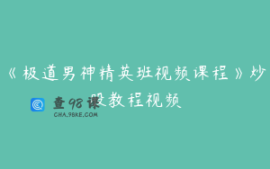 《极道男神精英班视频课程》炒股教程视频