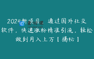 2024新项目，通过国外社交软件，快速涨粉精准引流，轻松做到月入上万【揭秘】