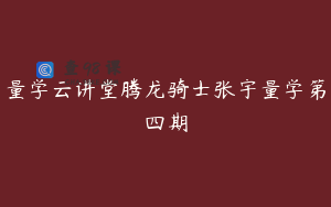 量学云讲堂腾龙骑士张宇量学第四期