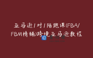 亚马逊1对1陪跑课(FBA/FBM精铺)跨境亚马逊教程