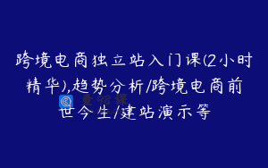 跨境电商独立站入门课(2小时精华),趋势分析/跨境电商前世今生/建站演示等