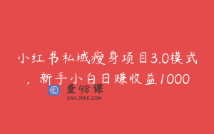 小红书私域瘦身项目3.0模式，新手小白日赚收益1000