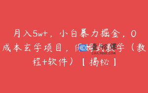 月入5w+，小白暴力掘金，0成本玄学项目，保姆式教学（教程+软件）【揭秘】