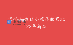 代码why微信小程序教程2022年新品