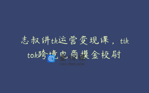 志叔讲tk运营变现课，tiktok跨境电商摸金校尉