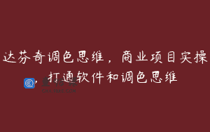 达芬奇调色思维，商业项目实操，打通软件和调色思维