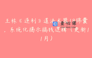 王栋《逐利》道法术器18锦囊，系统化揭示搞钱逻辑（更新11月）