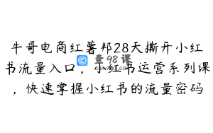 牛哥电商红薯邦28天撕开小红书流量入口，小红书运营系列课，快速掌握小红书的流量密码