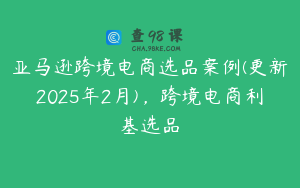 亚马逊跨境电商选品案例(更新2025年2月),跨境电商利基选品