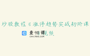 炒股教程《涨停趋势实战初阶课》视频