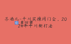苏酒儿-千川实操闭门会，2024年千川新打法