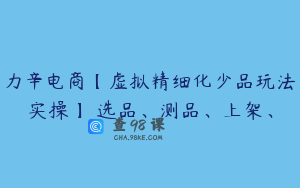 力辛电商【虚拟精细化少品玩法实操】 选品、测品、上架、