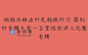 胡超伟脉法针炙超微针刀 圆利针专辑大全一言堂视频讲义完整专辑