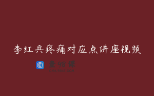 李红兵疼痛对应点讲座视频