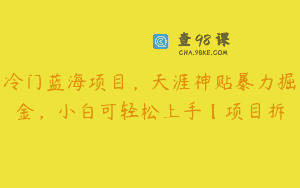 冷门蓝海项目，天涯神贴暴力掘金，小白可轻松上手【项目拆