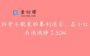 抖音不敢发的暴利项目，在小红书悄悄挣了30W