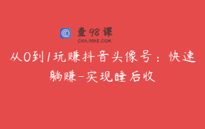 从0到1玩赚抖音头像号：快速躺赚-实现睡后收