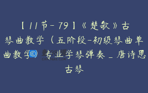 【11节-￥79】《楚歌》古琴曲教学（五阶段-初级琴曲单曲教学）专业学琴弹奏_唐诗思古琴