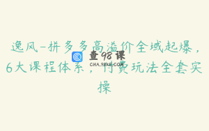 逸风-拼多多高溢价全域起爆，6大课程体系，付费玩法全套实操